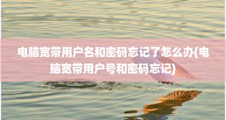 电脑宽带用户名和密码忘记了怎么办(电脑宽带用户号和密码忘记)