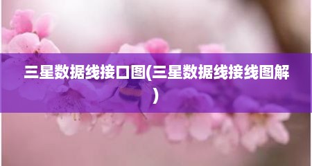 三星数据线接口图(三星数据线接线图解)
