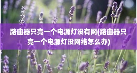 路由器只亮一个电源灯没有网(路由器只亮一个电源灯没网络怎么办)