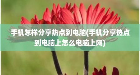 手机怎样分享热点到电脑(手机分享热点到电脑上怎么电脑上网)
