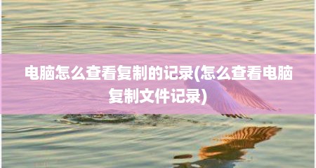 电脑怎么查看复制的记录(怎么查看电脑复制文件记录)