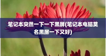 笔记本突然一下一下黑屏(笔记本电脑莫名黑屏一下又好)