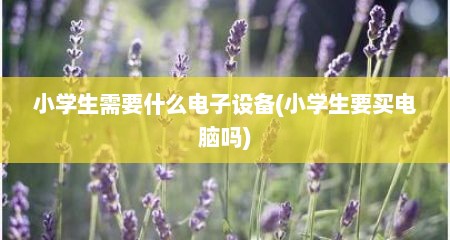 小学生需要什么电子设备(小学生要买电脑吗)