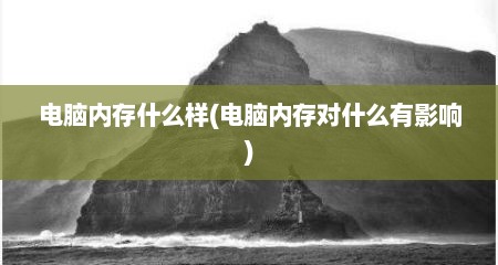 电脑内存什么样(电脑内存对什么有影响)