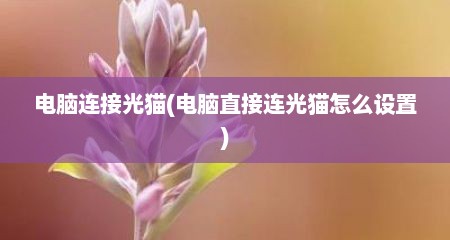 电脑连接光猫(电脑直接连光猫怎么设置)