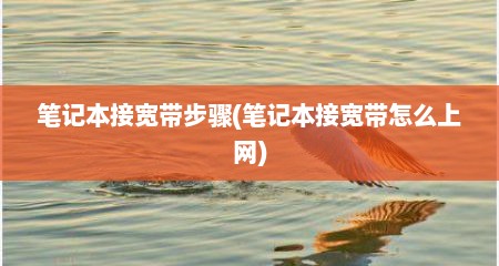 笔记本接宽带步骤(笔记本接宽带怎么上网)