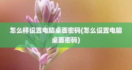 怎么样设置电脑桌面密码(怎么设置电脑桌面密码)