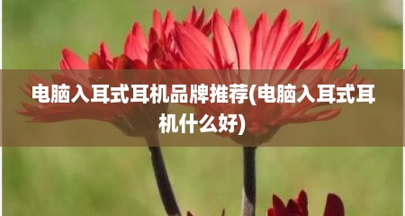电脑入耳式耳机品牌推荐(电脑入耳式耳机什么好)