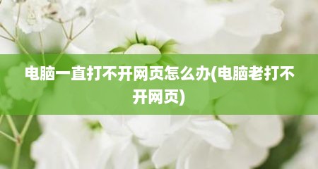 电脑一直打不开网页怎么办(电脑老打不开网页)