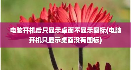 电脑开机后只显示桌面不显示图标(电脑开机只显示桌面没有图标)