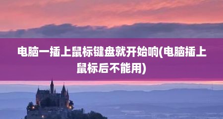 电脑一插上鼠标键盘就开始响(电脑插上鼠标后不能用)