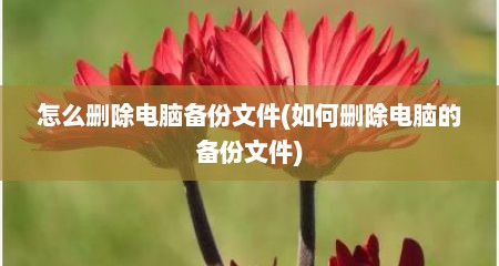 怎么删除电脑备份文件(如何删除电脑的备份文件)