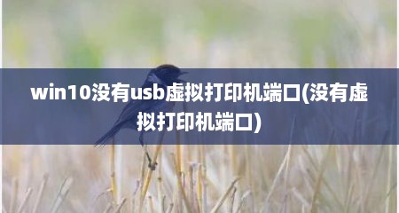 win10没有usb虚拟打印机端口(没有虚拟打印机端口)