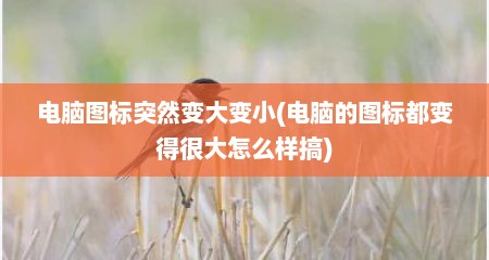 电脑图标突然变大变小(电脑的图标都变得很大怎么样搞)