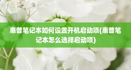惠普笔记本如何设置开机启动项(惠普笔记本怎么选择启动项)