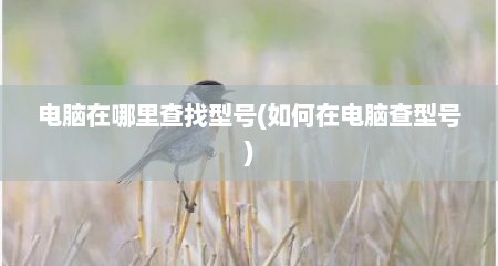 电脑在哪里查找型号(如何在电脑查型号)