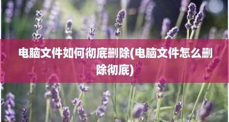 电脑文件如何彻底删除(电脑文件怎么删除彻底)