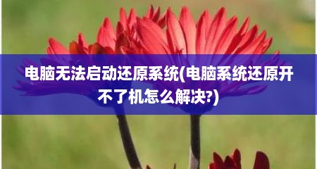 电脑无法启动还原系统(电脑系统还原开不了机怎么解决?)