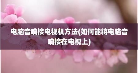 电脑音响接电视机方法(如何能将电脑音响接在电视上)