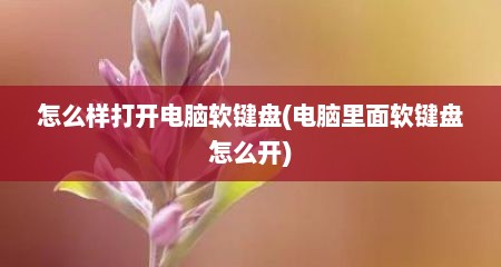 怎么样打开电脑软键盘(电脑里面软键盘怎么开)
