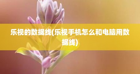 乐视的数据线(乐视手机怎么和电脑用数据线)