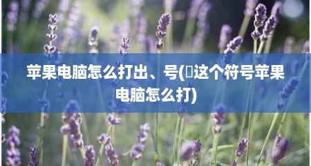 苹果电脑怎么打出、号(ヽ这个符号苹果电脑怎么打)