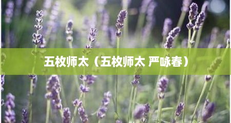 五枚师太（五枚师太 严咏春）