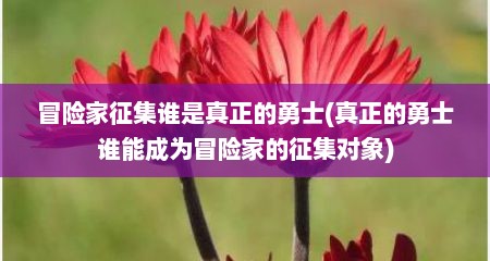冒险家征集谁是真正的勇士(真正的勇士谁能成为冒险家的征集对象)