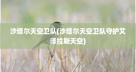 沙塔尔天空卫队(沙塔尔天空卫队守护艾泽拉斯天空)