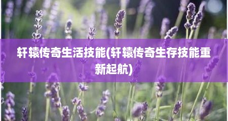 轩辕传奇生活技能(轩辕传奇生存技能重新起航)