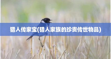 猎人传家宝(猎人家族的珍贵传世物品)