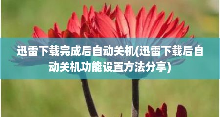 迅雷下载完成后自动关机(迅雷下载后自动关机功能设置方法分享)