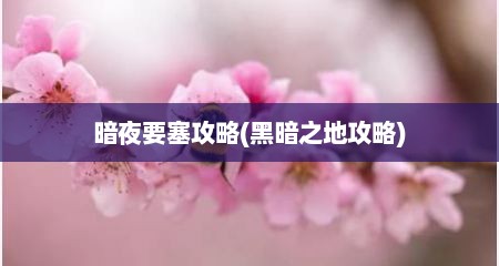 暗夜要塞攻略(黑暗之地攻略)