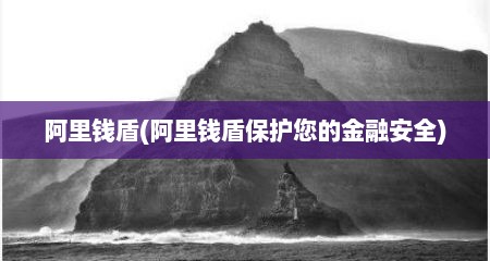 阿里钱盾(阿里钱盾保护您的金融安全)