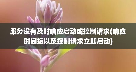 服务没有及时响应启动或控制请求(响应时间短以及控制请求立即启动)