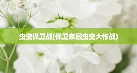 虫虫保卫战(保卫家园虫虫大作战)