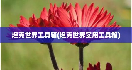 坦克世界工具箱(坦克世界实用工具箱)