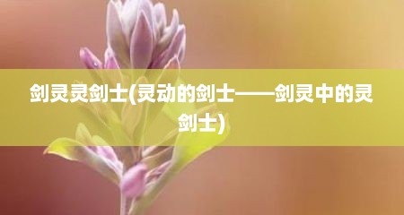 剑灵灵剑士(灵动的剑士——剑灵中的灵剑士)