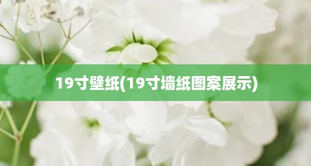 19寸壁纸(19寸墙纸图案展示)