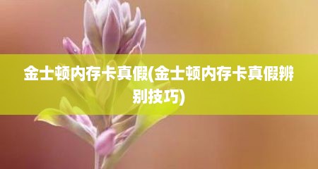 金士顿内存卡真假(金士顿内存卡真假辨别技巧)