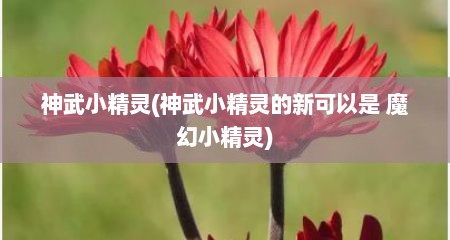 神武小精灵(神武小精灵的新可以是 魔幻小精灵)