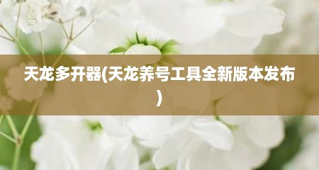 天龙多开器(天龙养号工具全新版本发布)