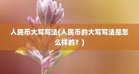 人民币大写写法(人民币的大写写法是怎么样的？)