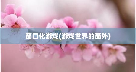窗口化游戏(游戏世界的窗外)