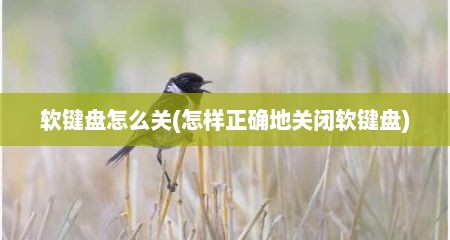 软键盘怎么关(怎样正确地关闭软键盘)