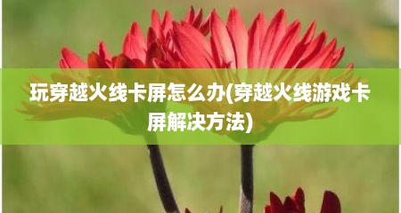 玩穿越火线卡屏怎么办(穿越火线游戏卡屏解决方法)