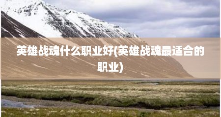 英雄战魂什么职业好(英雄战魂最适合的职业)