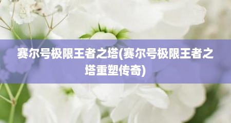 赛尔号极限王者之塔(赛尔号极限王者之塔重塑传奇)