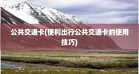 公共交通卡(便利出行公共交通卡的使用技巧)