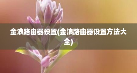 金浪路由器设置(金浪路由器设置方法大全)